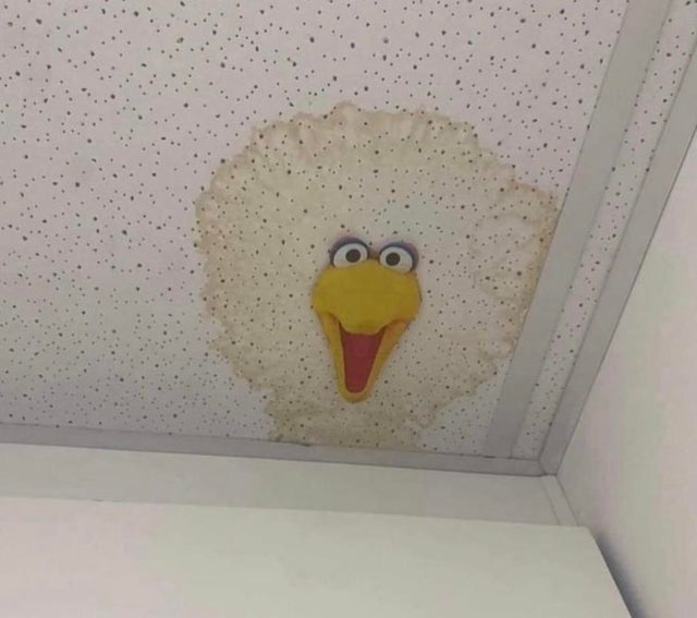 Nasser Fleck an der Decke sieht aus wie ein Comic Vogel