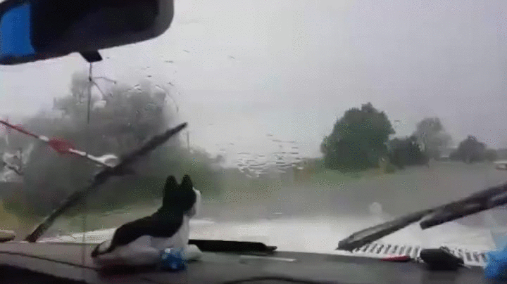 Kaputte Auto-Scheibenwischer bei Regenwetter zum lachen Kaputte Auto-Scheibenwischer bei Regenwetter zum lachen
