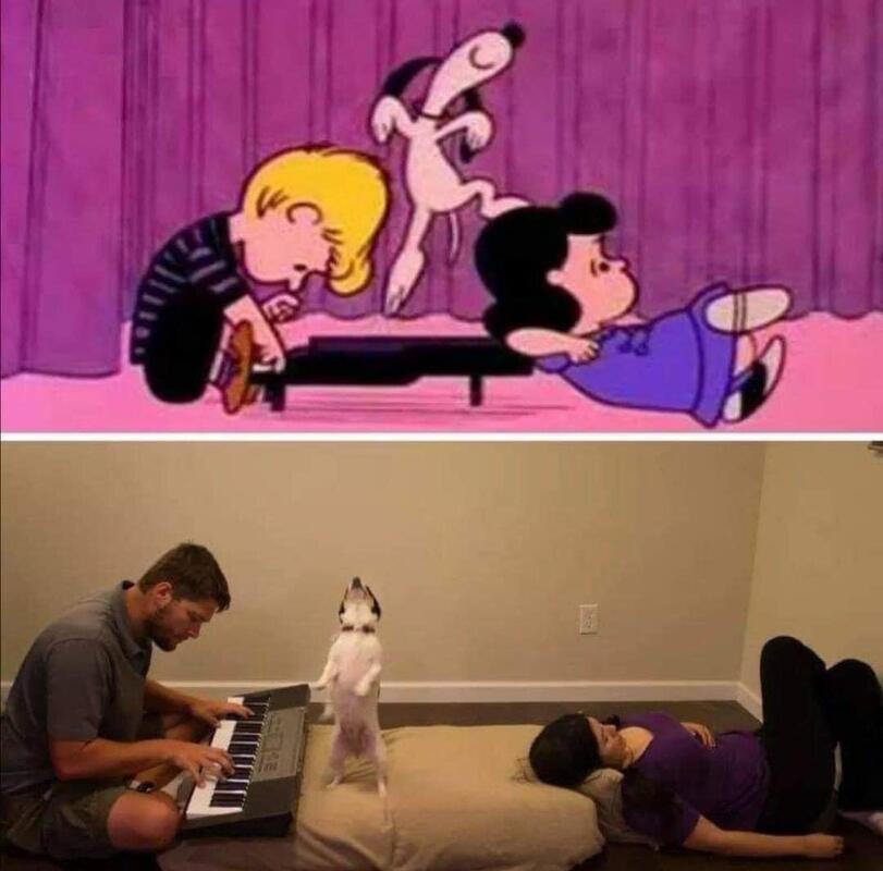Freizeit geniessen wie Charlie Brown und Snoopy Freizeit mit Freude: Entspannung, pur Freizeit genießen wie Charlie Brown und Snoopy. Parodie