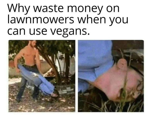 Veganer gegen Fleischesser lustige argumentative Bilder zum lachen%20(15) Wissenswertes mit Witz und Humor Fleischesser und Veganer teilen eine Sache: Sie beide hassen einander Beschweren, Kochen, Komische Begebenheiten des Lebens, Lustige Menschen, Lustiges über Tiere, Streit | Die Kirche des heiligen Al Bundy 4. Januar 2025 21