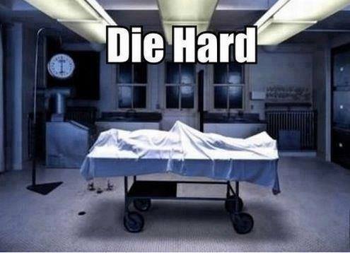 Sarkastischer lgbtqia Satire Humor%20(1) Motivation mit einem Augenzwinkern: Lachen für die Seele So wirst du heute noch für schwul/lesbisch gehalten Komische Begebenheiten des Lebens, Liebesleben, Lustiges über das Leben | Die Kirche des heiligen Al Bundy 23. August 2024 20