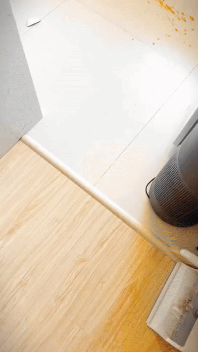 Katze macht Chaos in der Küche und leckt Schrank ab YumYumYum