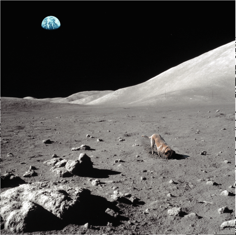 Humorvolle Gedanken zu Nachthimmel und Universum%20(1) Lustiges über Umwelt, Wetter & Jahreszeitenhumor Römer sahen Götter, Griechen Helden und heute sehen wir den Nachthimmel nur bei Stromausfall Humorvolle Alltagsgeschichten, Nachdenkliches, Natur | Die Kirche des heiligen Al Bundy 30. Januar 2025 5