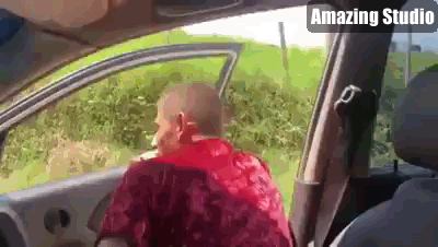 Fail cooles Video drehen und dabei Auto schrotten Menschliche Marotten: Lustige Geschichten aus dem Leben Fail Influencer - Cooles Video drehen und dabei das Auto schrotten