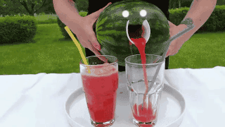 Superfood Spassbilder zum ablachen%20(2) Wissenswertes mit Witz und Humor Gesunde Ernährung: Lustiges über Superfood Hype und Detox-Säfte Kochen, Komische Begebenheiten des Lebens, Wissen zum lachen | Die Kirche des heiligen Al Bundy 13. November 2023 3