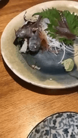 Skurrile Rezept Parodie Kochen mit Alienfleisch lustig%20(1) Heitere Haushaltsmomente mit einem Augenzwinkern Wie man mit Alienfleisch kocht und überlebt: Verrückte Rezepte Parodie Außerirdische, Humorvolle Alltagsgeschichten, Kochen, Tipps | Die Kirche des heiligen Al Bundy 17. März 2024 14