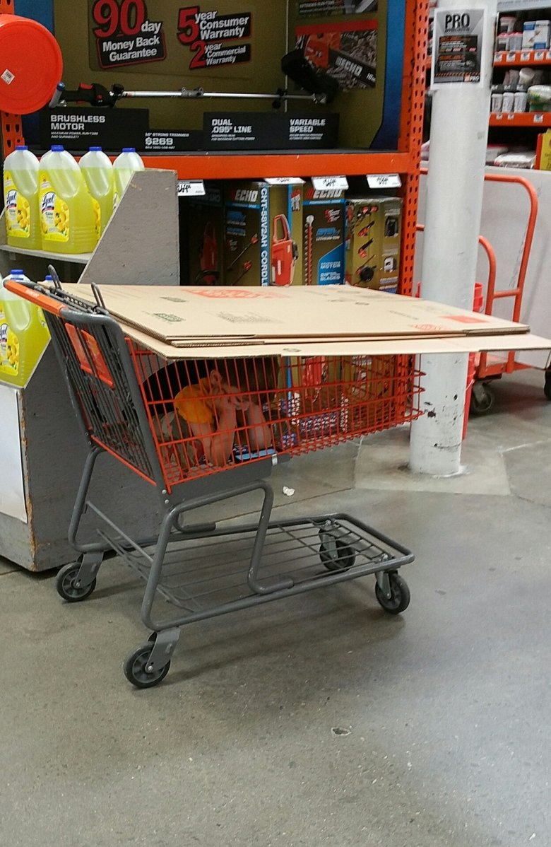 Skurrile Einkaufserlebnisse Discounter Kaufhalle witzig%20(8) Heitere Haushaltsmomente mit einem Augenzwinkern Warum platzen Einkaufstüten ständig und weitere komödiantische Discounter Erlebnisse Beschweren, Einkaufen, Haushalt, Humorvolle Alltagsgeschichten, Lustiges über das Leben | Die Kirche des heiligen Al Bundy 14. Juni 2023 6