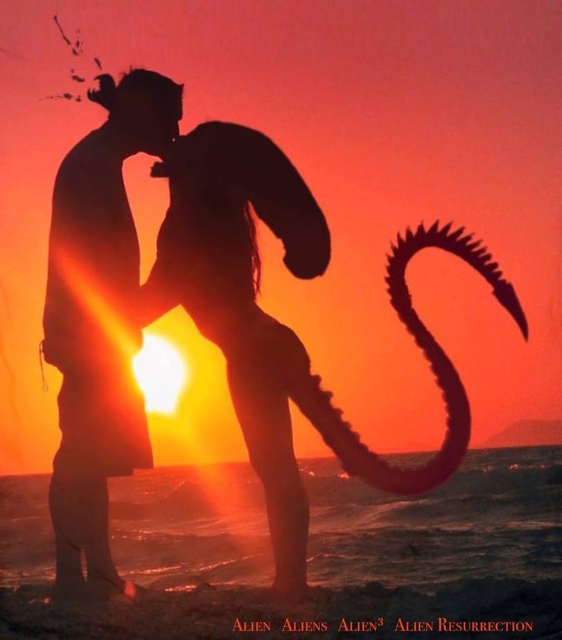 Beziehungsstatus kompliziert Liebesleben mit Alien humorvolles zum lachen%20(6) Ehechaos und Beziehungsspaß - Amüsante Liebeserlebnisse Beziehungsstatus: „kompliziert“ – Mein Liebesleben mit einem Außerirdischen Beziehung, Humorvolle Alltagsgeschichten, Liebesleben, Lustige Menschen, Schwiegereltern | Die Kirche des heiligen Al Bundy 6. April 2024 1