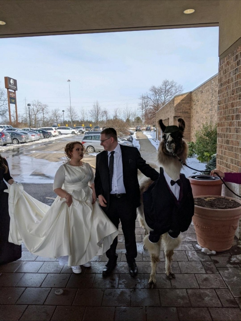 Lama als Br%C3%A4utigam auf Hochzeit Ehechaos und Beziehungsspaß - Amüsante Liebeserlebnisse Zu spät, zu angetrunken: Lustige Hochzeitspannen, die typisch Mann sind Besoffene Geschichte, Ehe, Ehemann, Komische Begebenheiten des Lebens | Die Kirche des heiligen Al Bundy 25. Februar 2024 13