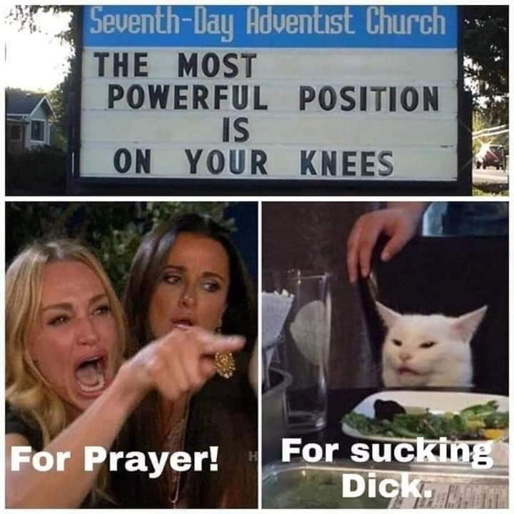 Frau schimpft mit Katze Religionszeichen Motivation mit einem Augenzwinkern: Lachen für die Seele Wie nutze ich Sarkasmus und Ironie, um allen auf den Keks zu gehen Humorvolle Alltagsgeschichten, Lustige Menschen, Tipps | Die Kirche des heiligen Al Bundy 15. Oktober 2023 16