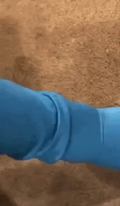 Frauen lustige Klischees Bilder und Gifs%20(3) Frauenhumor: Lachflash mit weiblichem Twist Frauen und ihre Mysterien: Ein lustiger Blick auf weibliche Klischees Ehefrau, Frau, Komische Begebenheiten des Lebens, Lustiges | Die Kirche des heiligen Al Bundy 20. November 2023 9