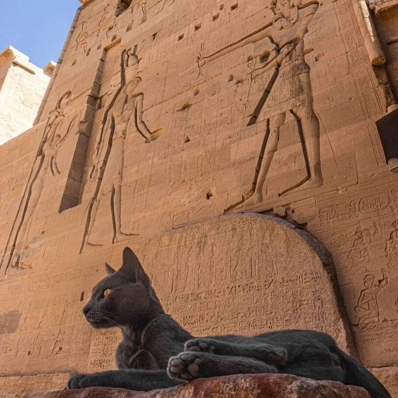 Sarkophag-Satire: Ein humorvoller Streifzug durch das alte Ägypten Komische Begebenheiten des Lebens, Vergangenheit, Wissen zum lachen | Die Kirche des heiligen Al Bundy 21. April 2023 6
