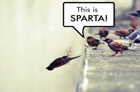 Vogel springt rückwärts von Kante. This ist Sparta