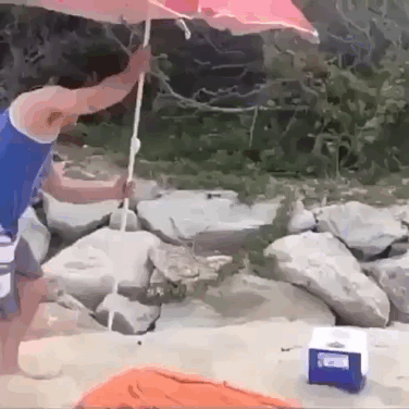 Humorvolle Sommer Fotos Wenn die Hitze uns schwitzen laesst%20(3) Lustiges über Umwelt, Wetter & Jahreszeitenhumor Schwitzen bis zum Umfallen – Die Sauna namens Sommer! Hitzewelle, Komische Begebenheiten des Lebens, Sommer | Die Kirche des heiligen Al Bundy 18. Juni 2023 2