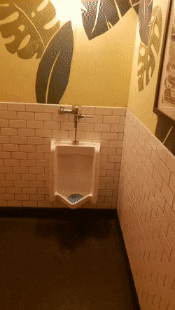 Lustige Tipps gegen peinliche Klobesuche komische Toiletten Bilder%20(3) Menschliche Marotten: Lustige Geschichten aus dem Leben Peinliche Klo-Erlebnisse und witzige Tipps für das stille Örtchen Badezimmer, Humorvolle Alltagsgeschichten, Öffentlichkeit, Tipps, Toilette | Die Kirche des heiligen Al Bundy 14. März 2024 15