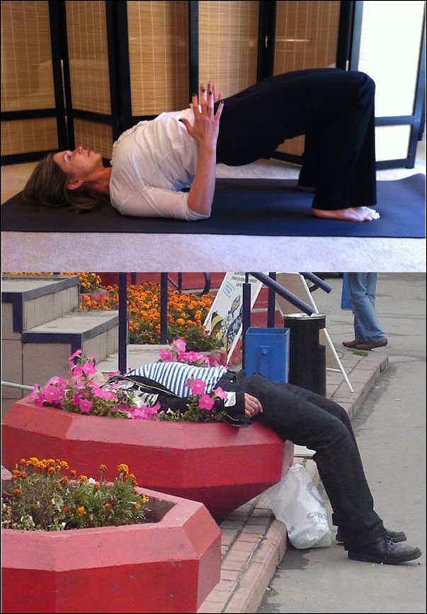 Besoffener Mann schlaeft im Blumenkuebel Suffi Yoga witzig Hopfen und Humor: Die Welt des Biers Hopfen und Malz, Gott erhalt's - Die spirituelle Reise ins Bier-Yoga-Land Alkohol, Bier, Komische Begebenheiten des Lebens, Lustige Bilder, Lustiges, Sport | Die Kirche des heiligen Al Bundy 2. Mai 2023 7