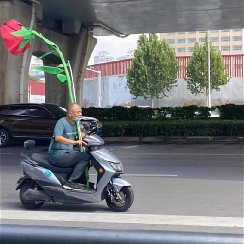 Sich bei der Schwiegermutter mit riesiger Blume entschuldigen