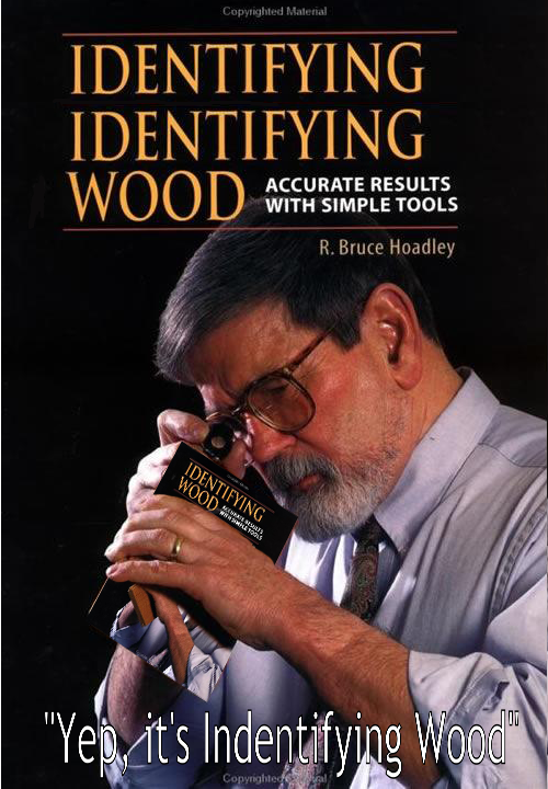 Wie identifiziert das Buch wie indentifiziert man Holz Wissenswertes mit Witz und Humor Wie identifiziert man das Buch "wie identifiziert man Holz"?
