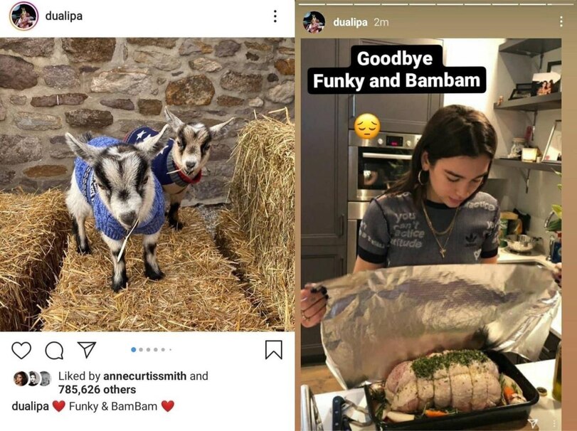 Lebe, um zu posten: Wie Instagram uns zu glücklichen Idioten trainiert Internet, Komische Begebenheiten des Lebens, Lustige Bilder | Die Kirche des heiligen Al Bundy 29. Juli 2024 11