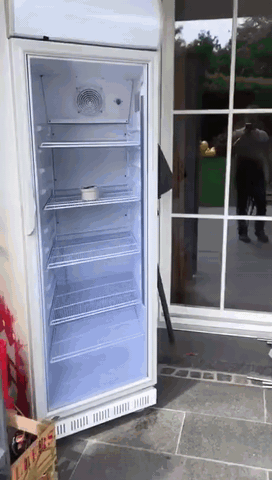 Wenn der Kühlschrank spricht: Eine humorvolle Ode an die nächtlichen Snack-Abenteuer Humorvolle Alltagsgeschichten, Küche, Kühlschrank, Lustiges über das Leben | Die Kirche des heiligen Al Bundy 15. April 2023 4