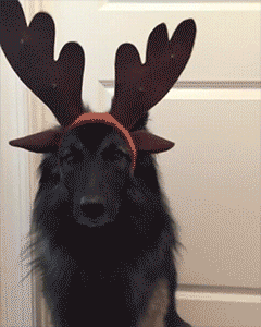 Lustige Weihnachtsbilder 2024 schwarzer Humor%20(2) Party-Time: Feste, Feiern und fröhlicher Wahnsinn Weihnachten 2023: Schwarzer Humor Tipps für ein chaotisches Fest Feiertag, Komische Begebenheiten des Lebens, Weihnachten | Die Kirche des heiligen Al Bundy 10. Dezember 2023 21