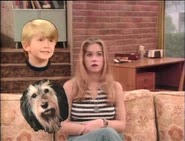 Sieben Bundy eine schrecklich nette Familie%20(2) Eine schrecklich nette Familie Sieben – das dritte Kind der Bundys | Die Kirche des heiligen Al Bundy 14. Januar 2024 3