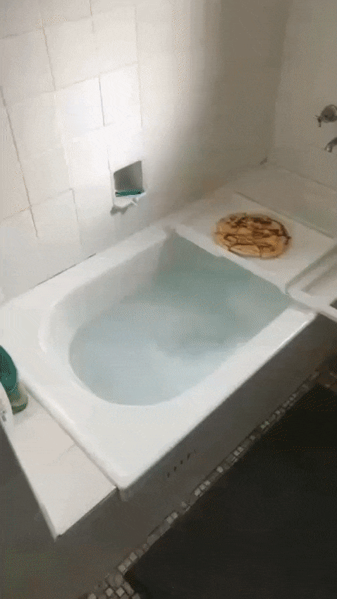 Warum endet meine Salat-Diät immer in einer Pizzabestellung? Gesundheit, Humorvolle Alltagsgeschichten, Kochen | Die Kirche des heiligen Al Bundy 31. Mai 2023 10