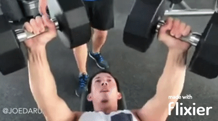 Fitnesslügen: Sechs Wochen später und der einzige Zuwachs ist meine Faulheit Fitness, Komische Begebenheiten des Lebens, Lügen, Muskeln | Die Kirche des heiligen Al Bundy 5. März 2024 13