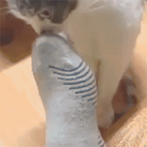 Socken die in der Waschmaschine verschwinden humorvolle Bilder%20(4) Heitere Haushaltsmomente mit einem Augenzwinkern Wie viele Socken verschwinden wirklich in der Waschmaschine? Haushalt, Humorvolle Alltagsgeschichten, Pflichten, Wäsche waschen | Die Kirche des heiligen Al Bundy 23. Mai 2023 10