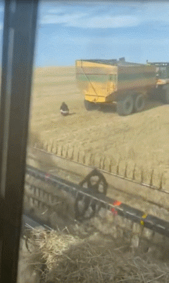 Bauer Landwirtschaft witzige Bilder%20(6) Arbeitswahnsinn und Bürosatire Das Bauernleben: Acker, Stallarbeit und Kuhfladen-Jonglieren Arbeit, Komische Begebenheiten des Lebens, Natur | Die Kirche des heiligen Al Bundy 4. Oktober 2023 3