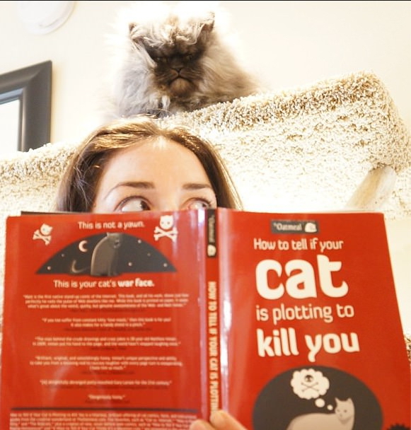 Selbsthilfe Buch How To lustig%20(2) Motivation mit einem Augenzwinkern: Lachen für die Seele Selbsthilfebücher: Wie ich mein Leben in 8 Schritten nicht geändert habe Komische Begebenheiten des Lebens, Lustige Bilder, Motivation, Ratschlag | Die Kirche des heiligen Al Bundy 23. November 2023 4