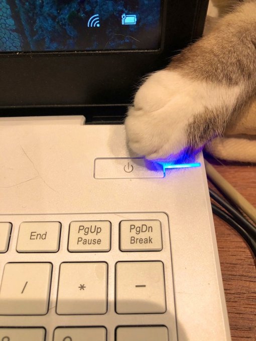 Einfach mal abschalten Katzenpfote am Schalter Motivation mit einem Augenzwinkern: Lachen für die Seele Einfach mal abschalten. Katzenpfote am Aus-Schalter