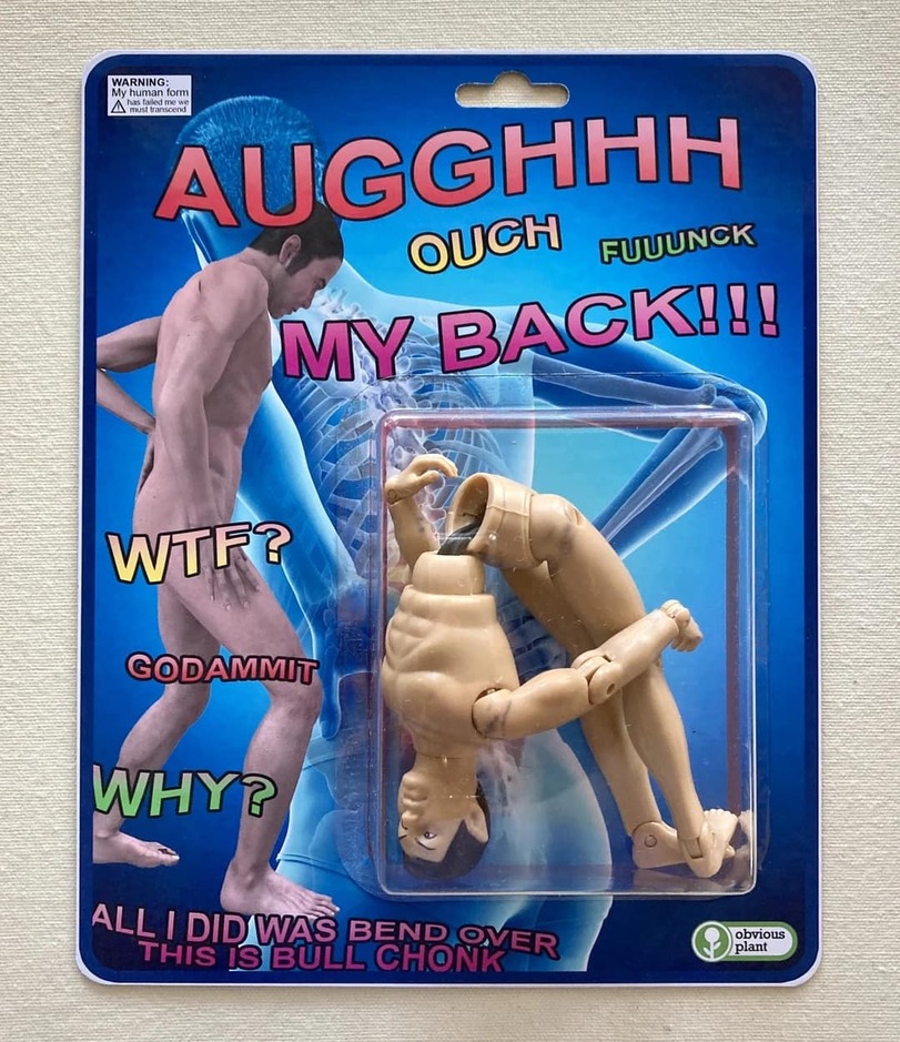 R%C3%BCckenschmerzen durch Alkohol und Faulheit%20(4) Hopfen und Humor: Die Welt des Biers a plastic toy in a package