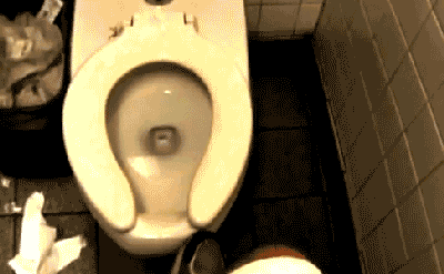 Lustige Tipps gegen peinliche Klobesuche komische Toiletten Bilder%20(7) Menschliche Marotten: Lustige Geschichten aus dem Leben Peinliche Klo-Erlebnisse und witzige Tipps für das stille Örtchen Badezimmer, Humorvolle Alltagsgeschichten, Öffentlichkeit, Tipps, Toilette | Die Kirche des heiligen Al Bundy 14. März 2024 13