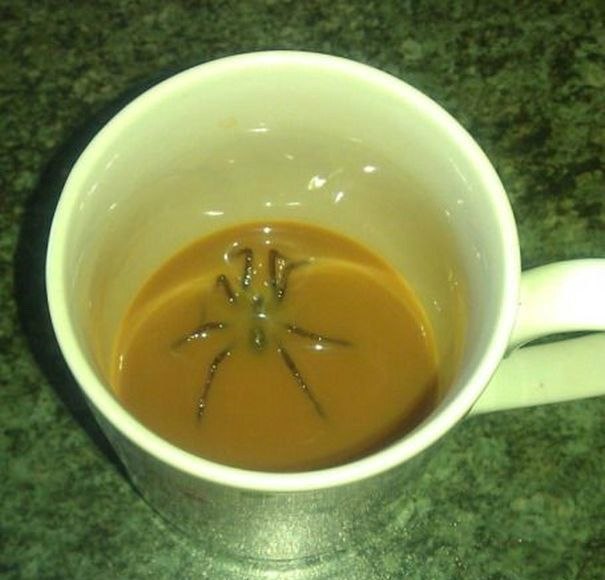 Wenn der Kaffee bitter schmeckt: Der Fluch des verzweifelten Morgenmuffels Kaffee, Komische Begebenheiten des Lebens, Müdigkeit | Die Kirche des heiligen Al Bundy 25. September 2023 11