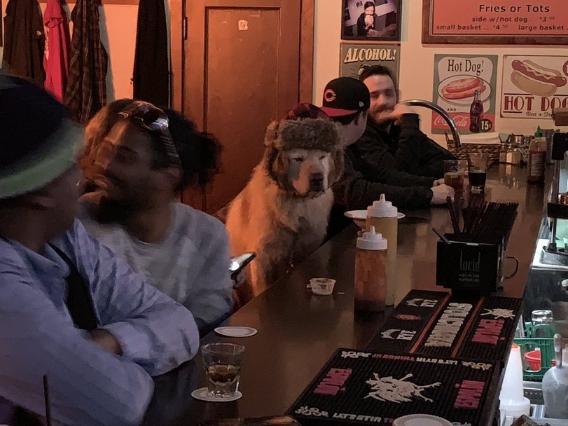Barkeeper: Alkoholverteiler & Tröster für die versoffene Kundschaft Alkohol, Beruf, Humorvolle Alltagsgeschichten | Die Kirche des heiligen Al Bundy 7. April 2024 3