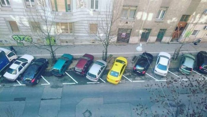 Chaos Parkplatz von Parkplatzdieben und schlechten Einparkern%20(2) Freizeit mit Freude: Entspannung, pur Wie man ein Auto in einer Parklücke verschwinden lässt - Tricks von Parkplatzdieben & Einparkhelden Alltag, Auto, Beschweren, Komische Begebenheiten des Lebens, Lustiges über das Leben, Probleme | Die Kirche des heiligen Al Bundy 2. Juni 2023 8