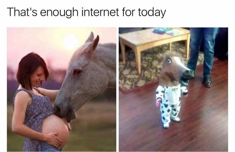 Ungewöhnliche Liebe. Der Nachwuchs. Genug Internet für heute