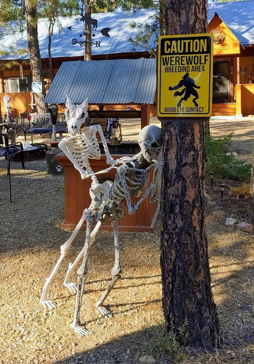 Lustige Bilder zu Halloween keine Lust auf 31 Okober 2024%20(9) Party-Time: Feste, Feiern und fröhlicher Wahnsinn Kein „Happy Halloween!“, keine Bonbons in der Schale. Miese Tipps für ein ruhiges Halloween Feiertag, Halloween, Komische Begebenheiten des Lebens, Schlechte Laune, Tipps | Die Kirche des heiligen Al Bundy 29. Oktober 2024 19
