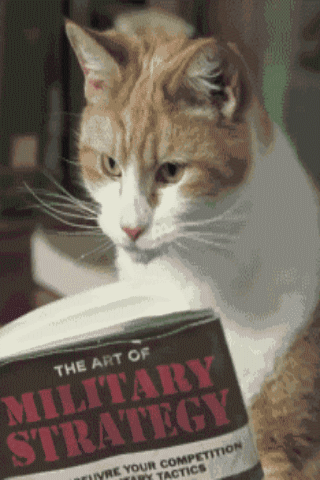 Wie unsere Katzen unseren Alltag bestimmen und unser Leben Alltag, Humorvolle Alltagsgeschichten, Katzen, Zuhause | Die Kirche des heiligen Al Bundy 9. November 2023 9