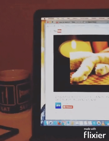 Lustige Wutausbrueche animierte zynische Gifs%20(8) Menschliche Marotten: Lustige Geschichten aus dem Leben Wutausbruch: Zeit, den Tisch zu flippen! Ist gut zum Runterkommen Beschweren, Humorvolle Alltagsgeschichten | Die Kirche des heiligen Al Bundy 26. September 2024 14