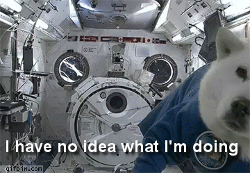 Sterne schauen, ohne zu kotzen: Warum keiner mehr Astronaut werden möchte Beruf, Komische Begebenheiten des Lebens, Lustiges, Wissen zum lachen | Die Kirche des heiligen Al Bundy 2. März 2024 7