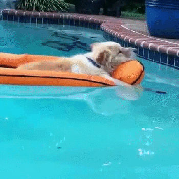 Humorvolle Sommer Fotos Wenn die Hitze uns schwitzen laesst%20(2) Lustiges über Umwelt, Wetter & Jahreszeitenhumor Schwitzen bis zum Umfallen – Die Sauna namens Sommer! Hitzewelle, Komische Begebenheiten des Lebens, Sommer | Die Kirche des heiligen Al Bundy 18. Juni 2023 11