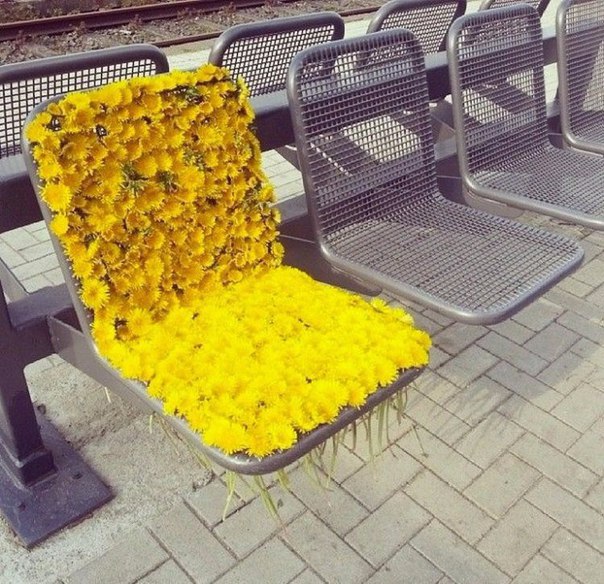 Erwartungen an den Fr%C3%BChling Lenz komisch%20(9) Lustiges über Umwelt, Wetter & Jahreszeitenhumor Warten auf den Frühling: Was uns wirklich nervt, wenn die Blumen blühen Frühling, Genervt, Komische Begebenheiten des Lebens, Natur | Die Kirche des heiligen Al Bundy 3. März 2024 14