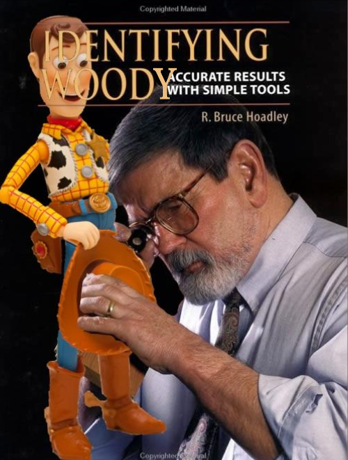Wie identifizerit man Woody aus Toy Story Wissenswertes mit Witz und Humor Wie identifiziert man Woody aus Toy Story?