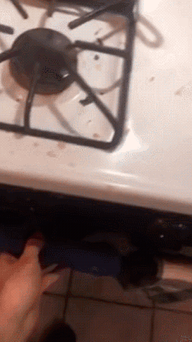 Maenner die nicht kochen koennen Idioten lustig%20(4) Männliche Marotten: Lustiges aus der Männerdomäne Kochen wie ein Mann, also wie ein Idiot! Dumm, Kochen, Komische Begebenheiten des Lebens, Mann | Die Kirche des heiligen Al Bundy 4. Juni 2023 7