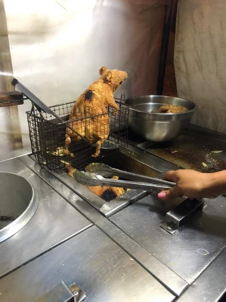 Ein Mann und sein Grillrost komische Bilder%20(7) Männliche Marotten: Lustiges aus der Männerdomäne Die unerklärliche Verbindung zwischen Männern und Grillgeräten – Ein Phänomen der Evolution? Freizeit, Grillen, Komische Begebenheiten des Lebens, Mann | Die Kirche des heiligen Al Bundy 23. Mai 2023 11