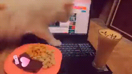 Katze laeuft ueber Tastatur und ruiniert Laptop lustig Motivation mit einem Augenzwinkern: Lachen für die Seele Gemeine Katze läuft über Tastatur und ruiniert den Laptop lustig