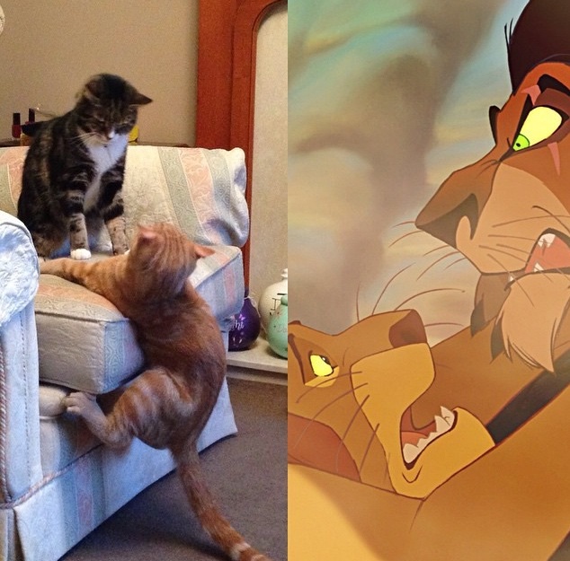 Bitterb%C3%B6se Disney Parodie Bilder%20(3) Wissenswertes mit Witz und Humor Gute Disney-Mütter? Tot vor dem Abspann: Dafür sind böse Schwiegermütter unkaputtbar Familie, Fernsehen, Komische Begebenheiten des Lebens, Lustiges über das Leben, Schwiegereltern, Tod | Die Kirche des heiligen Al Bundy 27. Oktober 2024 12