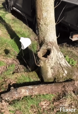 Picknick Fail Natur und Familie lustig%20(3) Freizeit mit Freude: Entspannung, pur Warum ich Picknicks hasse und trotzdem jedes Jahr eins plane Familie, Freizeit, Humorvolle Alltagsgeschichten, Natur, Öffentlichkeit | Die Kirche des heiligen Al Bundy 1. August 2024 20